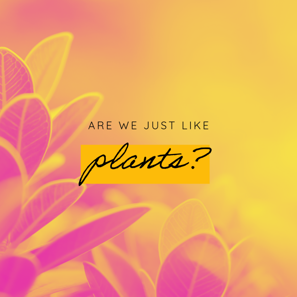 Are we just like plants?