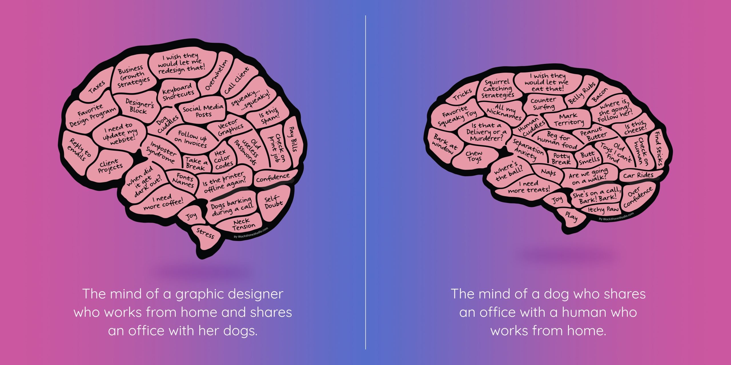 The mind of a graphic designer and her dog