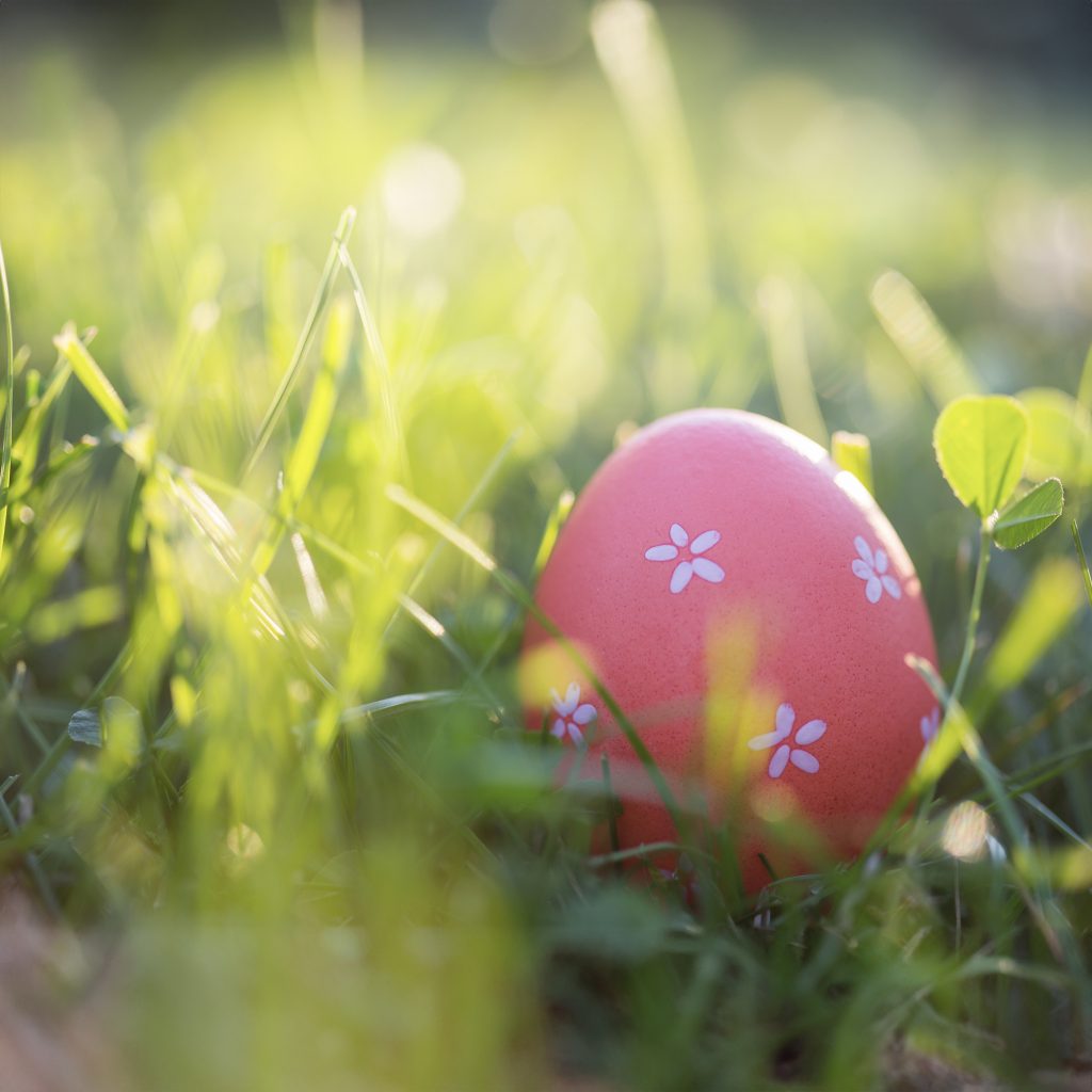 Pink Easter Egg with small white flowers