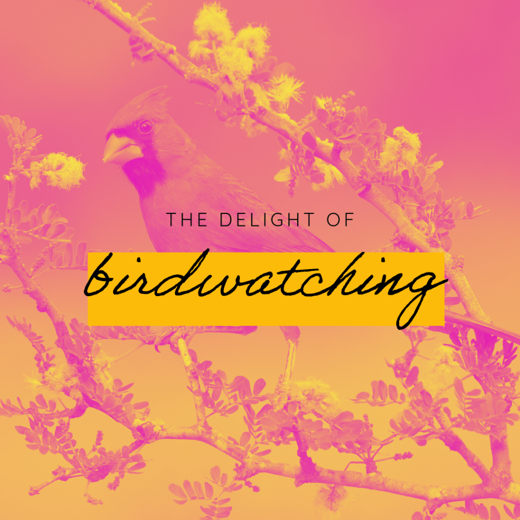 The delight of birdwatching