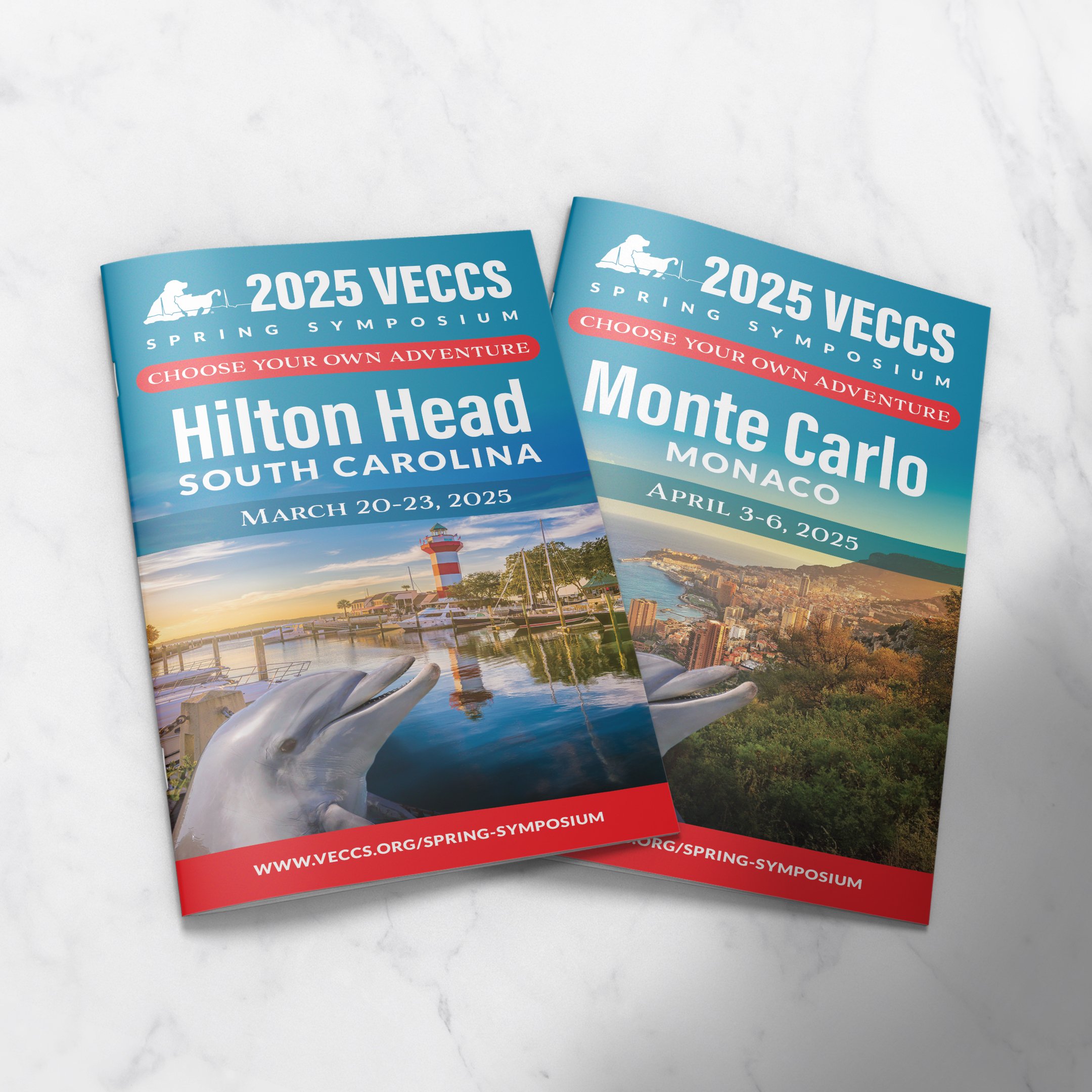 2025 VECCS Spring Symposium Program Book Design