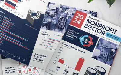 2024 State of the Nonprofit Sector Brochure Design