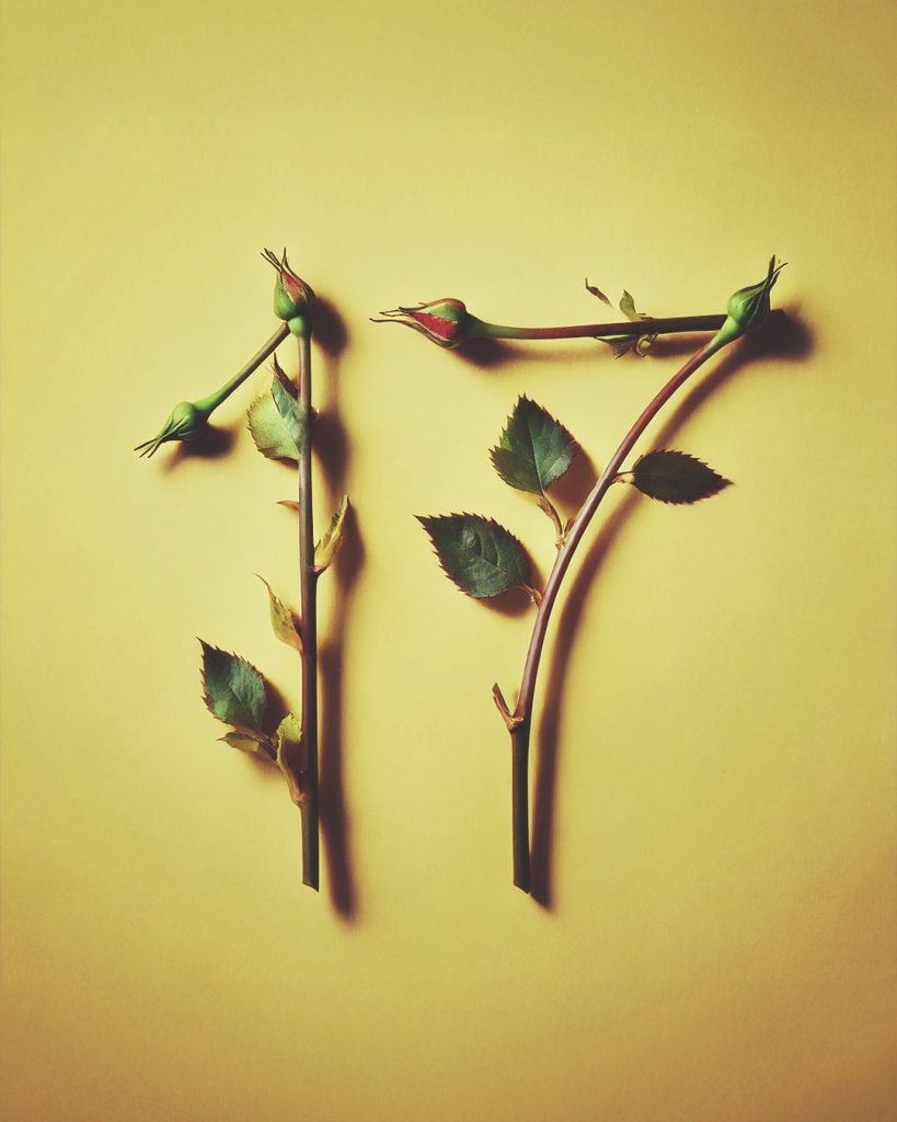 The number 17 made up of rose stems and rose buds