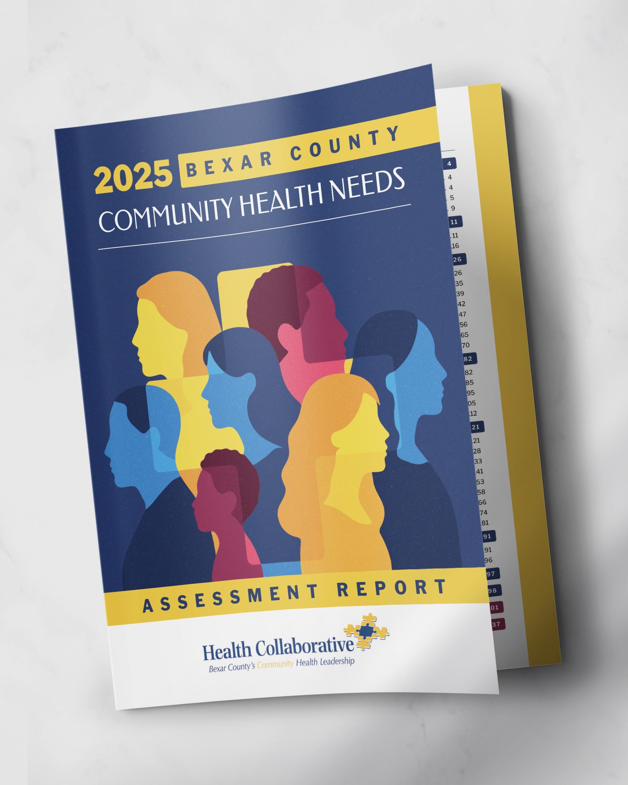 CINow Community Healths Needs Assessment Report